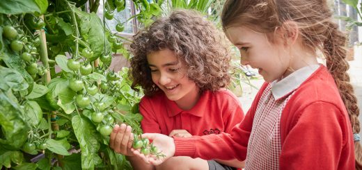 Greenhouse school photography