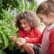 Greenhouse school photography